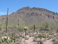 Canyonlands National Park thumbnail