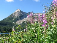 West Elk Loop Scenic Byway thumbnail