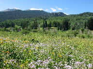 West Elk Loop Scenic Byway thumbnail