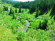 West Elk Loop Scenic Byway thumbnail