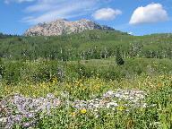 West Elk Loop Scenic Byway thumbnail