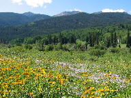 West Elk Loop Scenic Byway thumbnail