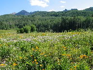 West Elk Loop Scenic Byway thumbnail