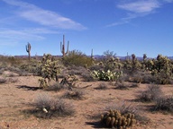 Apache Trail Scenic Byway photo thumbnail