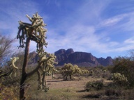 Apache Trail Scenic Byway photo thumbnail