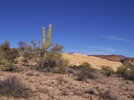Apache Trail Scenic Byway photo thumbnail