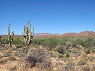 Apache Trail Scenic Byway photo thumbnail