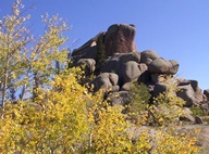 Aspen Trees in Autumn photo thumbnail