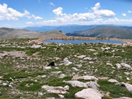 Mount Blue Sky Scenic Byway photo thumbnail