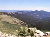 Mount Blue Sky Scenic Byway photo thumbnail