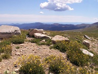 Mount Blue Sky Scenic Byway photo thumbnail