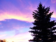 Pink Cloud Sunsets photo thumbnail