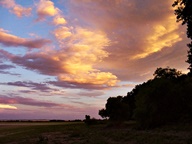 Pink Cloud Sunsets photo thumbnail