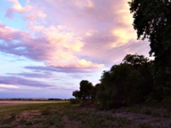 Pink Cloud Sunsets photo thumbnail