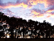 Pink Cloud Sunsets photo thumbnail