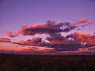 Pink Cloud Sunsets photo thumbnail