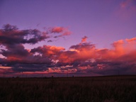 Pink Cloud Sunsets photo thumbnail