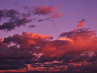 Pink Cloud Sunsets photo thumbnail