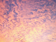 Pink Cloud Sunsets photo thumbnail