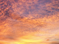 Pink Cloud Sunsets photo thumbnail