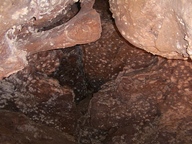 Wind Cave National Park photo thumbnail