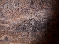 Wind Cave National Park photo thumbnail