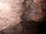Wind Cave National Park photo thumbnail