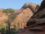 Zion National Park