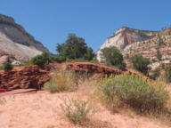 Zion National Park