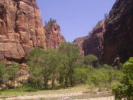 Zion National Park