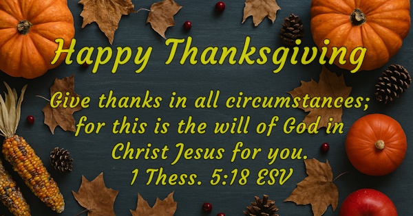 Give thanks in all circumstances for this is the will of God in Christ Jesus for you. 1 Thessalonions 5:18