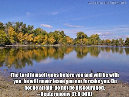 Deuteronomy 31:8