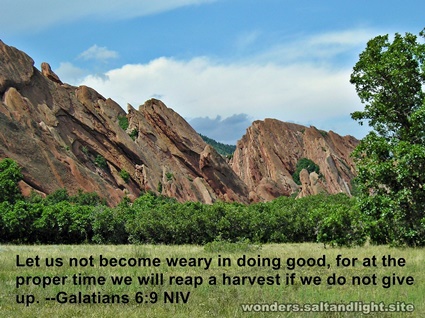 Galatians 6:9
