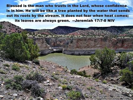 Jeremiah 17:7-8