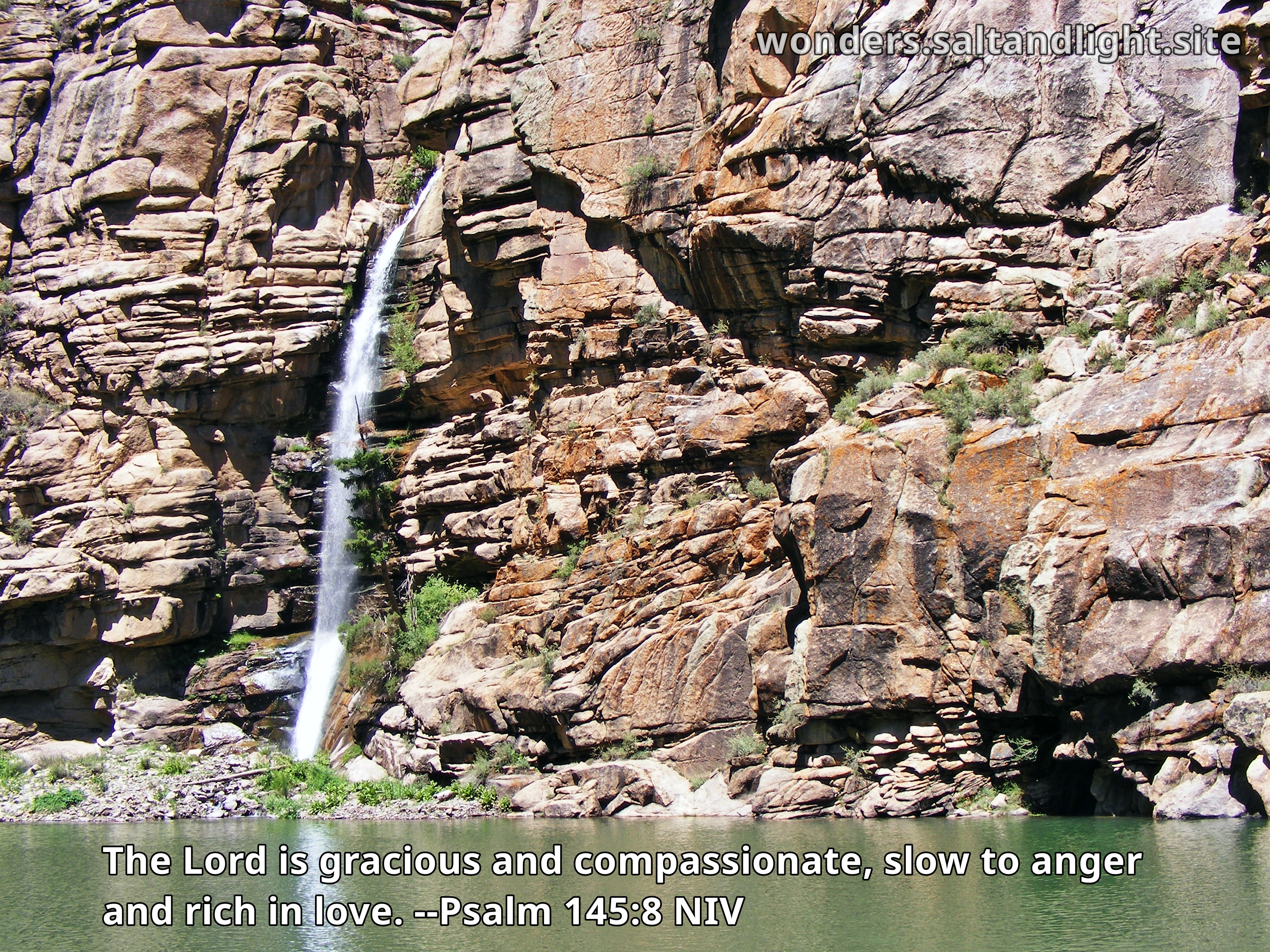 Psalm 145:8