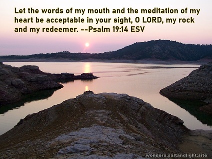 Psalm 19:14