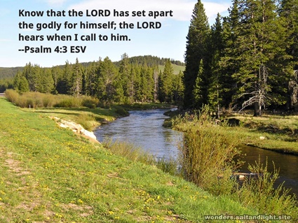 Psalm 4:3
