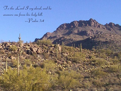 Psalm 3:4 thumbnail