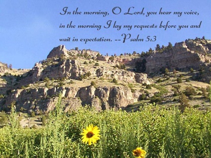 Psalm 5:3 thumbnail