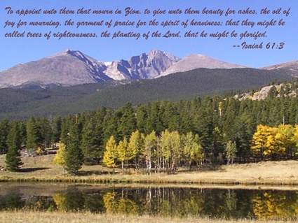 Isaiah 61:3 thumbnail