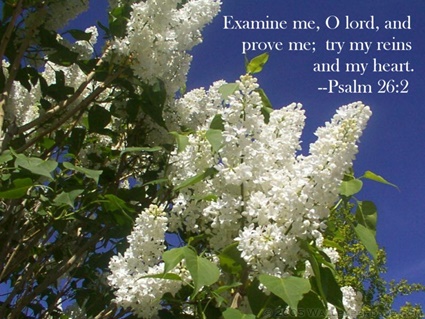 Psalm 26:2 thumbnail