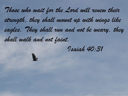 Isaiah 40:21 thumbnail