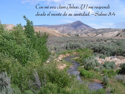 Salmo 3:4 thumbnail