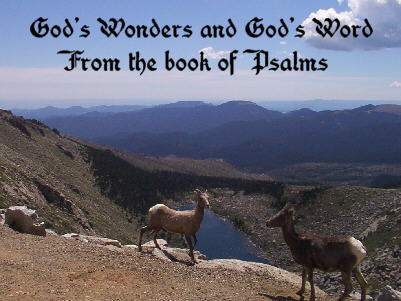 God's Wonders with God's Word from the Book of Psalms
